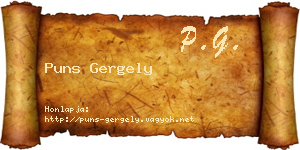 Puns Gergely névjegykártya